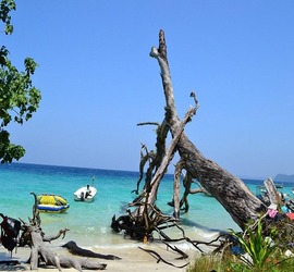 andaman-adventure-tour-water-activities.jpg
